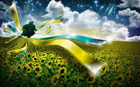 Daisy Fields for Present - yellow, scenery, amazing, daisy, scenario, stars, flowers, daisies, ribbon, plants, nice, fireworks, sky, clouds, abstract, image, fields, beautiful, photography, present, 3d and cg, lace, colors, cool, collages, fantasy, nature, awesome, green, comets