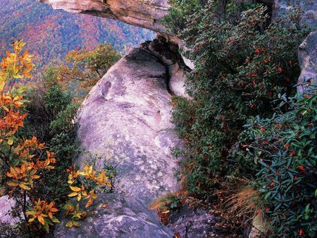 Cherokee Foothills, South Carolina - seasons, rocks, beautiful, leaves, amazing, brown, sunrises, leaf, carolina, wonderful, gray, autumn, red, south, mountains, cherokee, flowers, awesome, yellow, stones, photoshop, majesty, sunsets, trunks, nice, orange, trees, colors, green