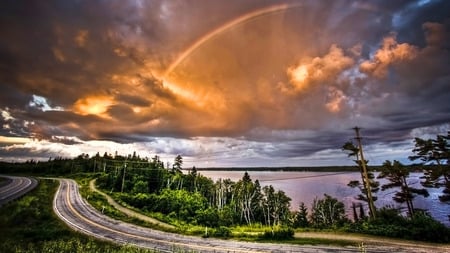 ultimate nature - nature, sky, trees, ultimate nature, sun, water, road