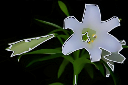 White Easter Lily against a blackbackground pop art wallpaper. jpg - plant, easter, bulb, lily