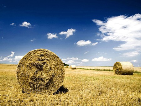 Haystacks In Autumn Field, Blue Sky - haystacks, nature, blue, autumn, fields, sky