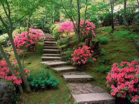 Stone pathway - pathway, stone, trees, flowers, grass