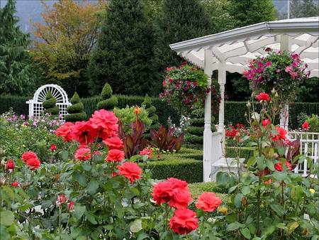 Pretty garden - roses, trees, garden