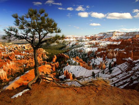 Alone on the Rim - amazing, cool, frozen, paysage, deserts, mounts, landscape, mountain, scenario, rim, nature, beautiful, frost, snow, alps, stones, nice, sky, trees, mountains, rocks, green, orange, scene, day, canyons, winter, paisage, plants, peak, alone, blue, awesome, alpes