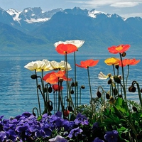 Flowers Lake, Montreux