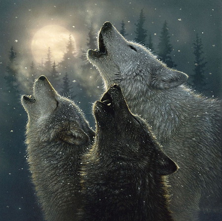 wolf brothers - kool, animals, wolves, hot