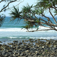 Noosa Australia