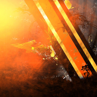 Sunny Abstract.