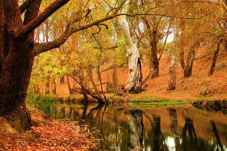 Beautiful Autumn - forest, lake, forests, reflection, rivers, trees, nature, autumn, colorful