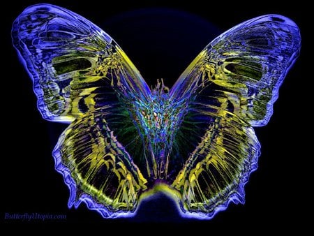 Blue Butterfly - wings, neon, butterfly, blue