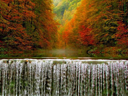 Beauty Of Nature - beauty of nature, trees, waterfall, cool