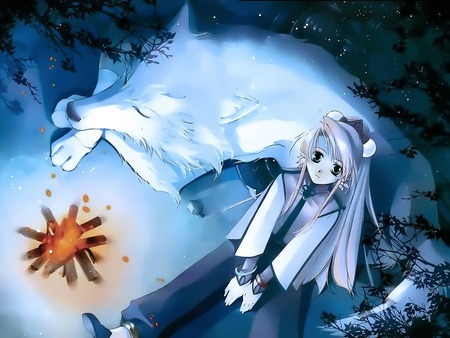  wolf  anime  girl  Other Anime  Background Wallpapers  on 