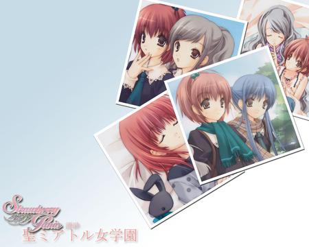 Strawberry Panic - strawberry panic, strawberry, love, yuri