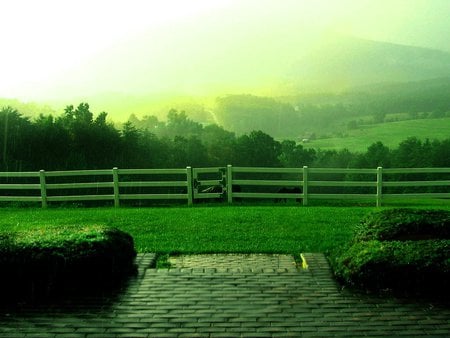 Morning rain - green, landscape, grass, earth