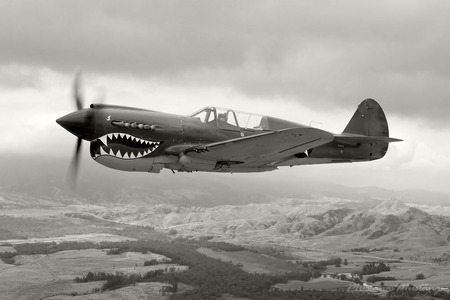 Black And White Tiger - airplanes, tiger, aircraft, fighter aircraft, planes, flight, black and white, flying tigers, fighters