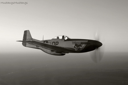 Black And White Mustang - airplanes, p51 mustang, mustang, ww ii, aircraft, fighter aircraft, planes, flight, fighters