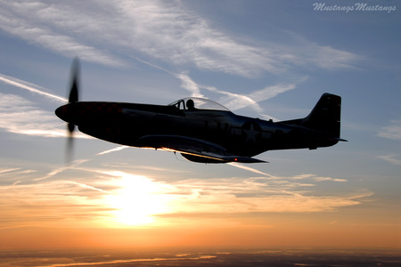 Long Way Home - fighter aircraft, airplanes, ww ii, sunset, fighters, planes, aircraft, p51 mustang, mustang, flight