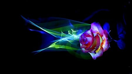 DesktopNexus Love - abstract, beauty, love, flower, caring, neon light, colorful, romances, rose