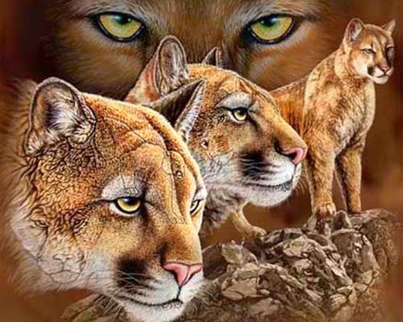 Big Cats - painting, animals, wild cats, beautiful, big cats, big, beautiful picture