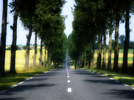 Highway - nature, highway, trees