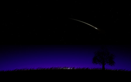 Perfection of Thought - sky, shooting star, night, tree, sunset, space