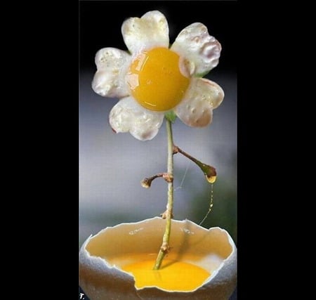 egg flower - abstract, complex, 3d, egg, flower