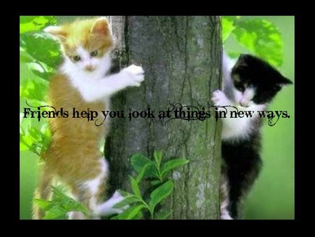 Friends Help - friends, trees, animals, cats