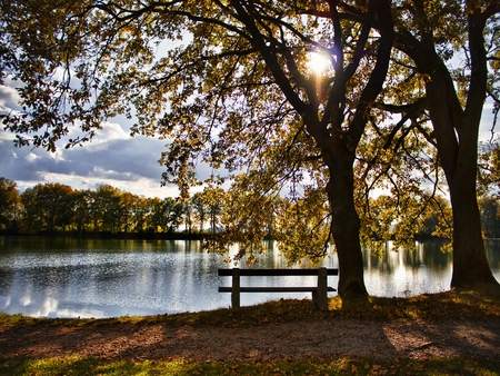 Its Autumn - bench, tree, autumn