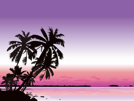 Beach in evening - purple, sunset, coco tree