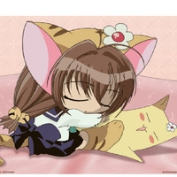 A Cute little friendly and adorable little Kitty taking a nap...ZZZ...ll,