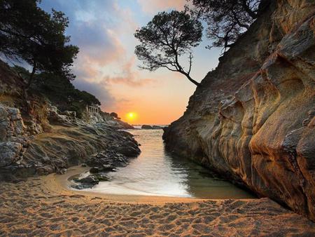 foot prints in the sand - trees, sunset, beach, ocean, rocks