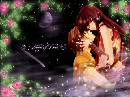 Night of Love - star, anime, female, night, dark, boy, male, comet, moon, anime girl, hot, girl, flower, black, shooting star, cute, lover, sexy, couple