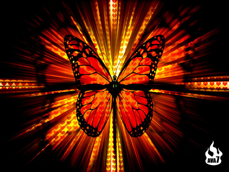 Red Butterfly - butterfly, animal, red, animals