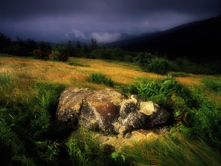 Lovely Place - flowers, nature, rocks, fields