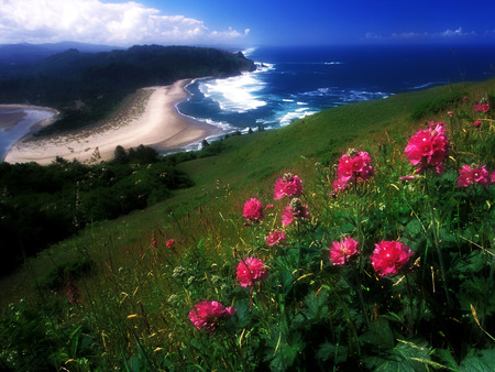 Double - nature, beaches, fields, flowers