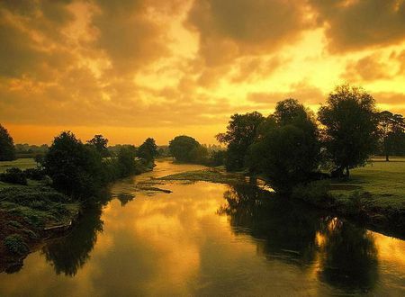 Couchers de Soleil #13 - nice, trees, grasslands, soleil, lakes, lagoons, amazing, cool, clouds, green, rivers, grass, landscapes, couchers, plants, gold, beautiful, awesome