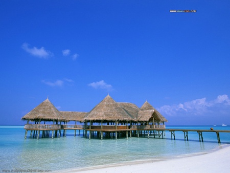 Paraidise - paraidise, beach, cool, beautiful, huts