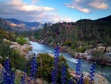 beautiful landscape - nature, landscape, blue, mountains, flowers