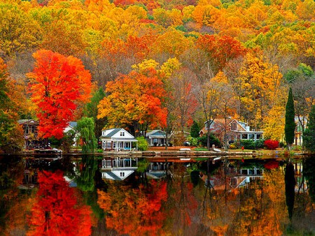 Beautiful Autumn Scenery