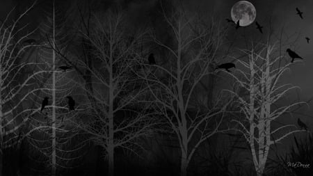 Dreads of Winter - moon, crows, black, halloween, forest, dark, firefox persona, spooky, birds