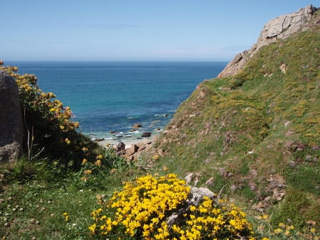 Path to Pendeen Beach - shantyman, sunshine, summer, flowers, devon, rocks