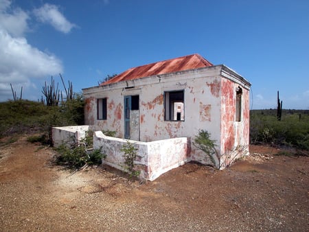 Authentic simple dwelling - curacao, nice, color, home