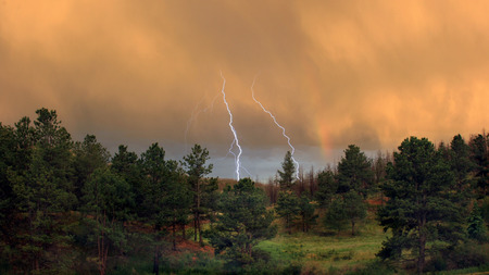 lightning - forest, lightning, clouds, trees, nature, jungle