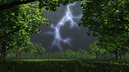 ultimate nature - sky, trees, field, nature, dark, forest, clouds, jungle, green, colors, lightning, flowers, grass, lightening