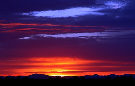 Can You Name It For Me - sky, forest, glow, ray, beauty, clouds, amazing