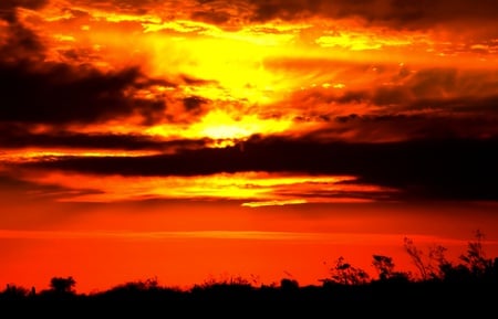 Wow...Wow...Superb - sky, forest, glow, ray, beauty, clouds, amazing