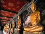 Row of golden buddhas