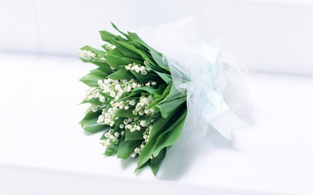 Lily of the Valley