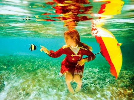 Under water Photography - under water, cool, photography, beautiful