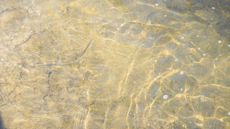 Light Refraction - sunlight, water, ripple, creek, photo